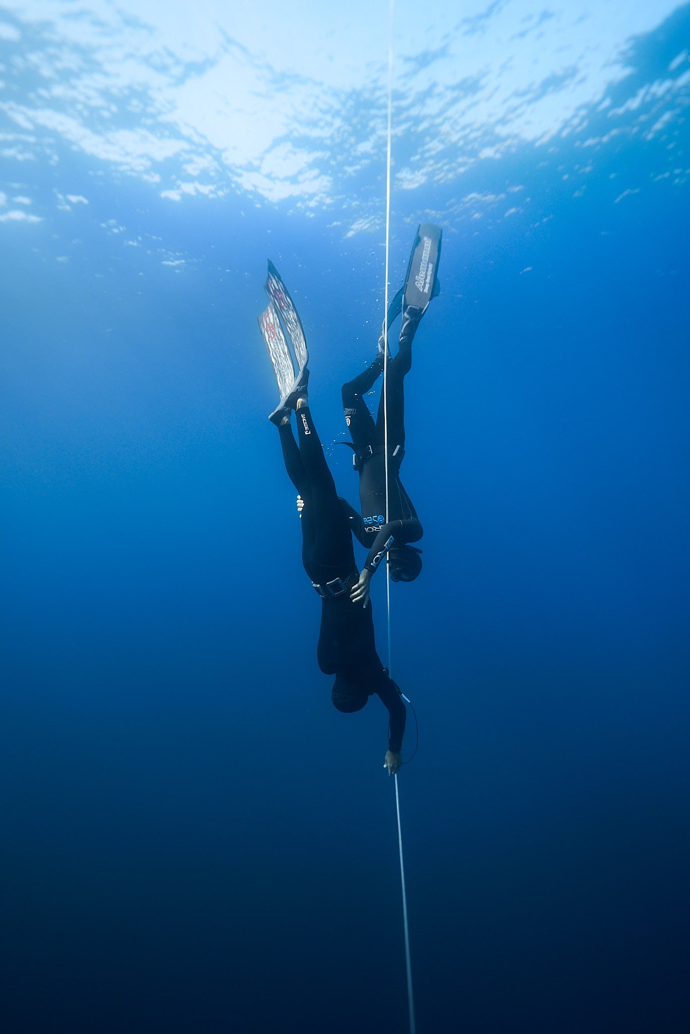 Sea Coaching