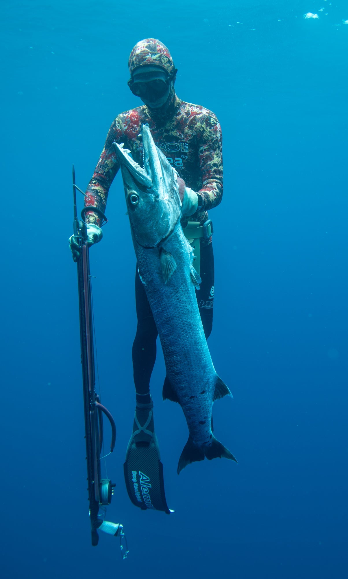 Spearfishing